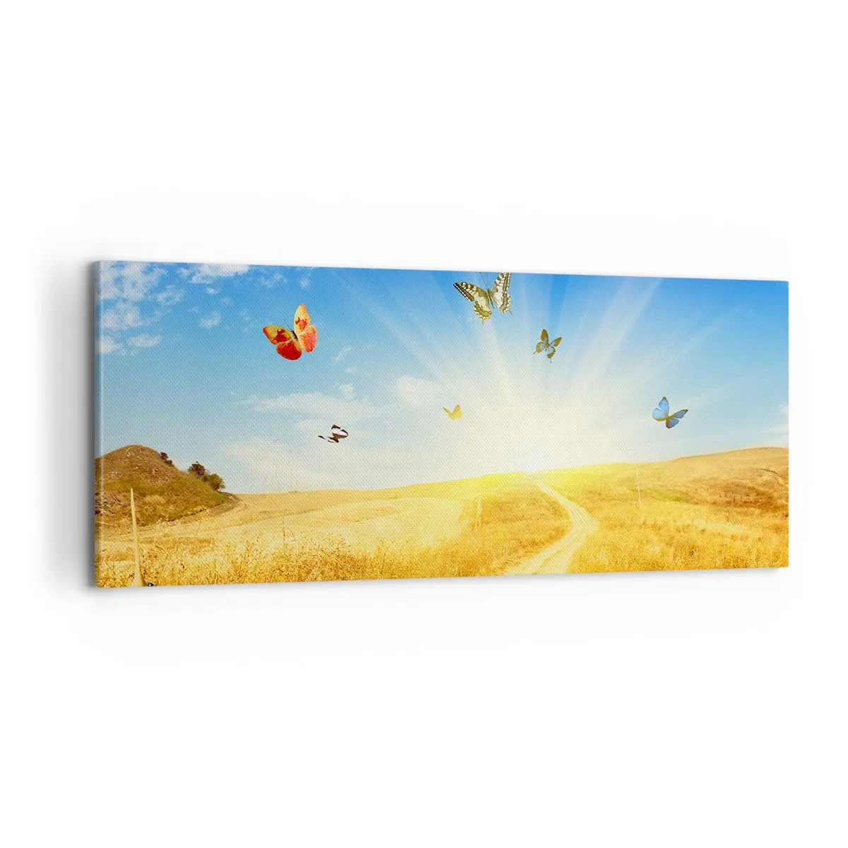 Bild auf Leinwand - Leinwandbild - Und wie kann man den Sommer nicht lieben? - 100x40 cm