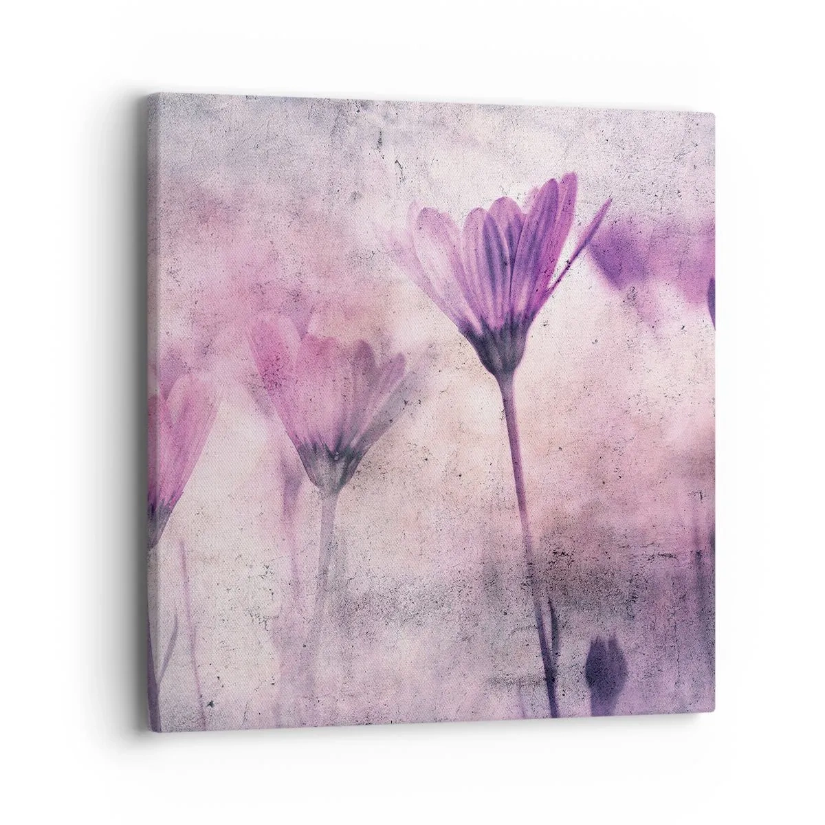 Bild auf Leinwand - Leinwandbild - Ein Blumentraum - 40x40 cm