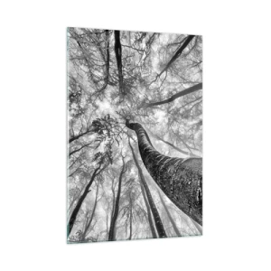 Glasbild - Bild auf glas - Schwarz-weiße Bäume, von unten in Richtung Himmel fotografiert - 50x70cm - Rennen zum Licht - Moderne Wanddekoration für Wohnzimmer und Schlafzimmer ARTTOR