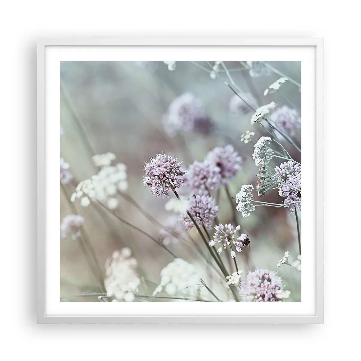 Poster in einem weißen Rahmen - Süße filigrane Kräuter - 60x60 cm