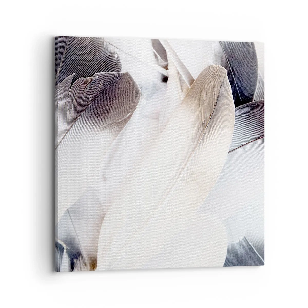 Bild auf Leinwand - Leinwandbild - Fast engelhaft - 70x70 cm