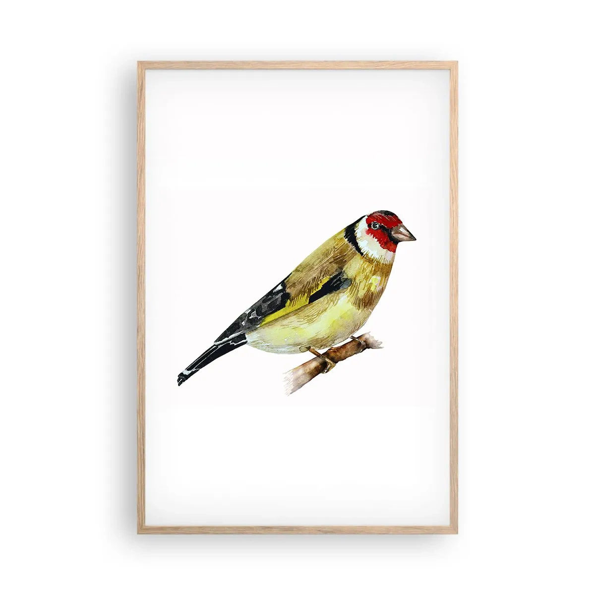 Poster in einem Rahmen aus heller Eiche - Vogelporträt - 61x91 cm