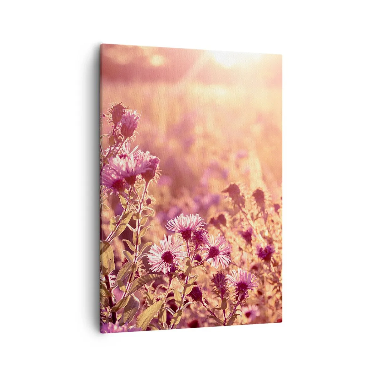 Bild auf Leinwand - Leinwandbild - Wiese im Licht der untergehenden Sonne - 50x70cm - Bevor der Sommer vorbei ist - Moderne Wanddekoration für Wohnzimmer und Schlafzimmer ARTTOR
