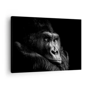 Bild auf Leinwand - Leinwandbild - Schwarz-Weiß-Porträt eines majestätischen Gorillas - 70x50cm - Und was guckst du so? - Moderne Wanddekoration für Wohnzimmer und Schlafzimmer ARTTOR
