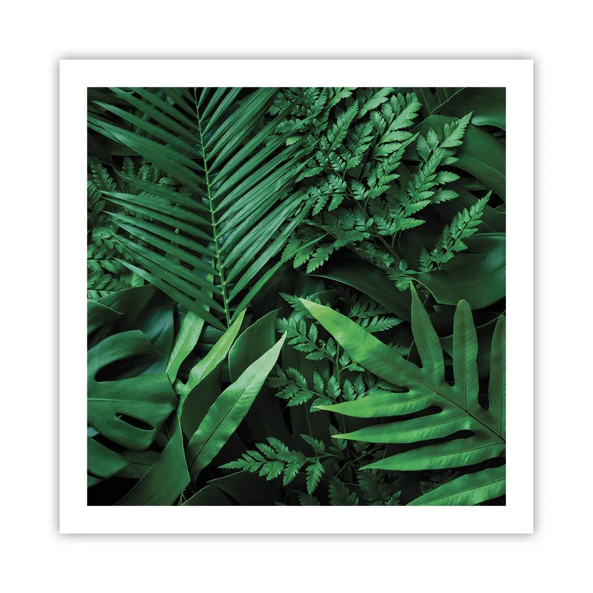 Poster - Eingebettet ins Grüne - 60x60 cm