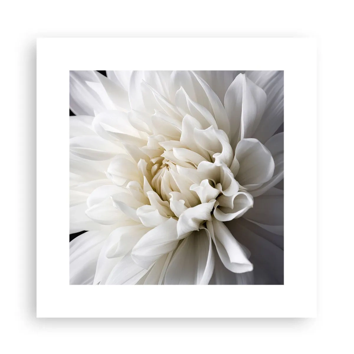 Poster - Der Morgen der Braut - 30x30 cm