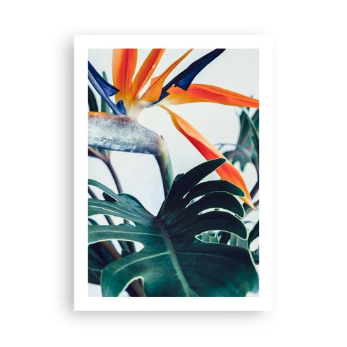 Poster - Nahaufnahme einer Strelitzia-Blüte, umgeben von grünen Blättern - 50x70cm - Vogelbusch - Moderne Wanddekoration für Wohnzimmer und Schlafzimmer ARTTOR