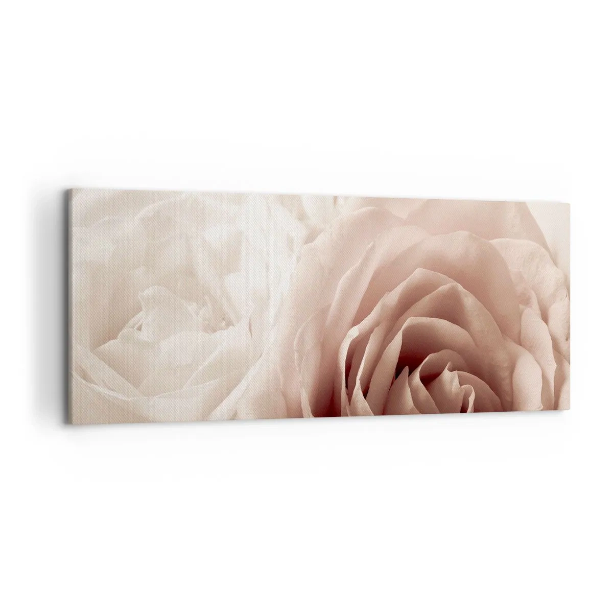 Bild auf Leinwand - Leinwandbild - Zarte Rosen in pastelligen Beigetönen - 120x50cm - Im Herzen der Rose - Moderne Wanddekoration für Wohnzimmer und Schlafzimmer ARTTOR