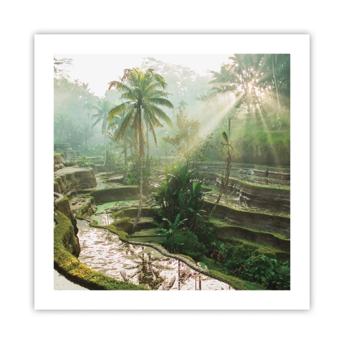 Poster - In der Sonne aufwachsen - 50x50 cm