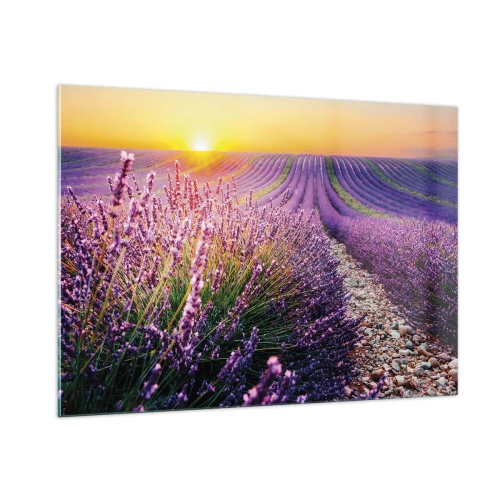 Glasbild - Bild auf glas - Lavendelfeld bei Sonnenaufgang mit einem steinigen Pfad - 100x70cm - Duftende Kornfelder - Moderne Wanddekoration für Wohnzimmer und Schlafzimmer ARTTOR
