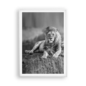 Poster in einem weißen Rahmen - Königliche Siesta - 70x100 cm