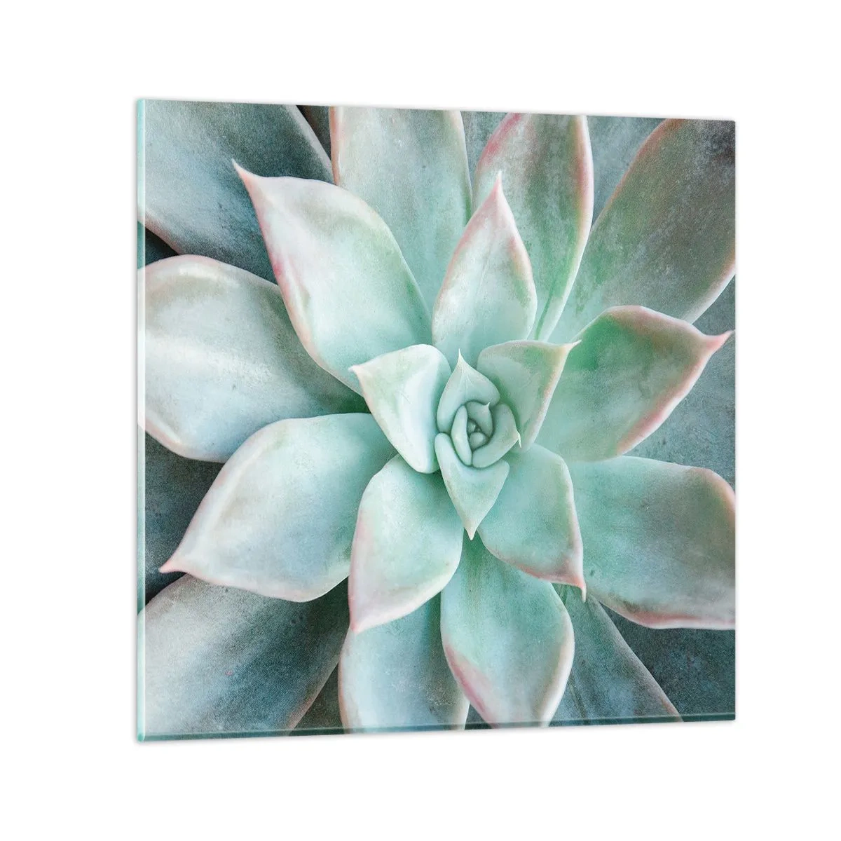 Glasbild - Bild auf glas - Das Herz der Wüste - 40x40 cm