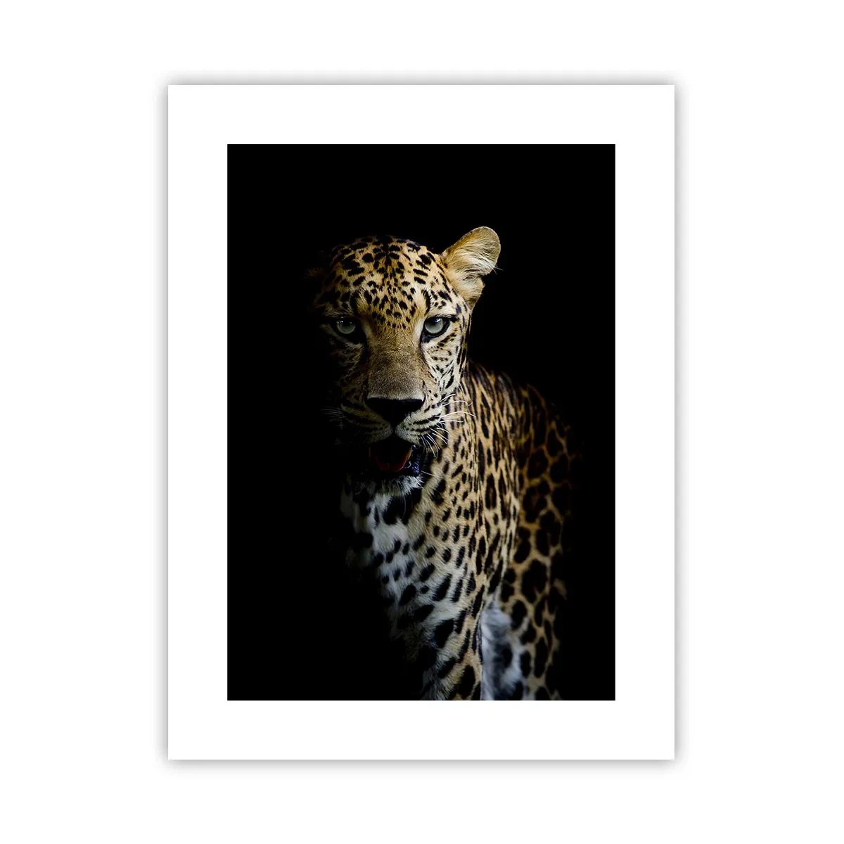 Poster - Dunkle Schönheit - 30x40 cm