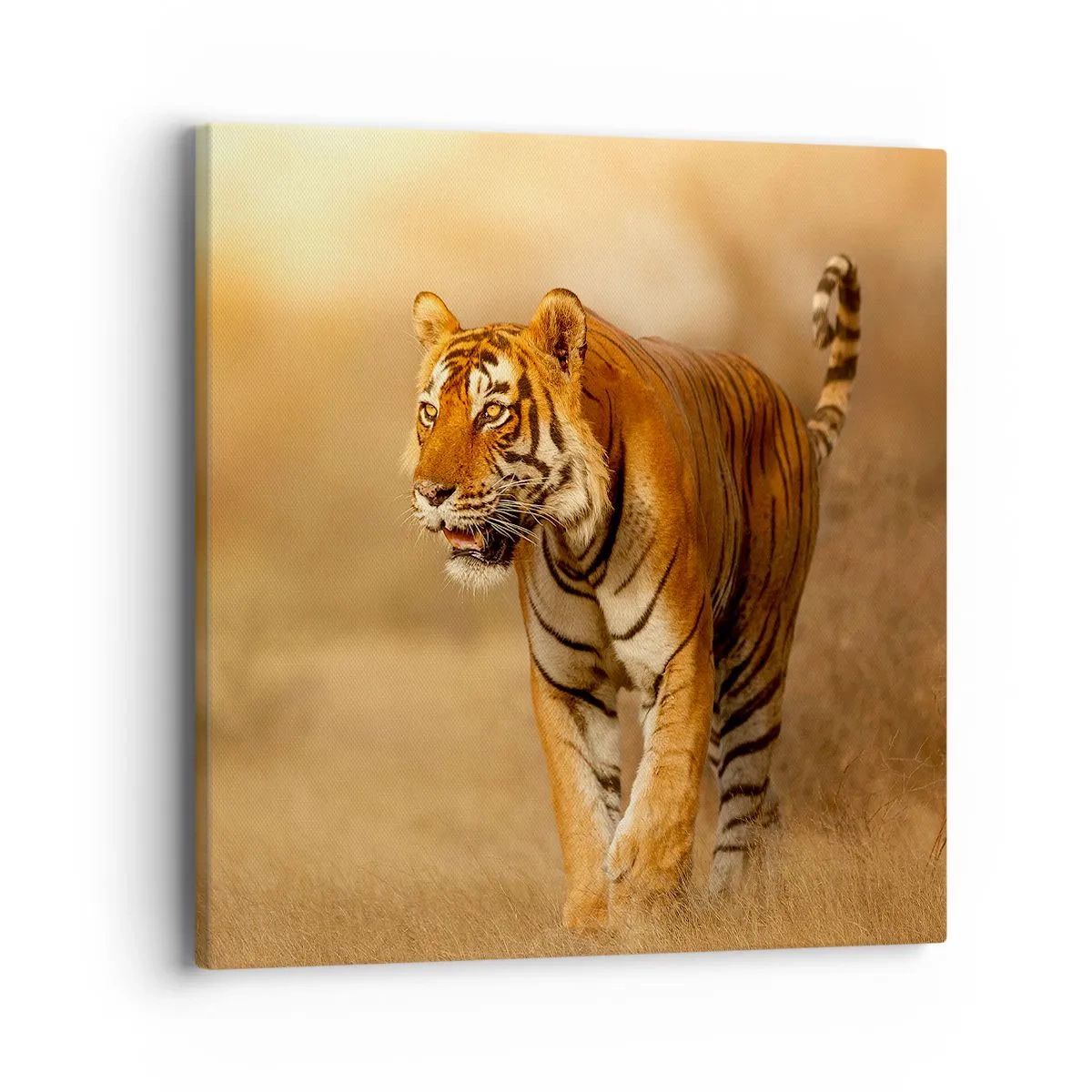 Bild auf Leinwand - Leinwandbild - Vor dem Angriff - 40x40 cm