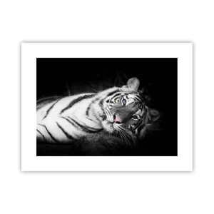 Poster - Wildnis und Frieden - 40x30 cm