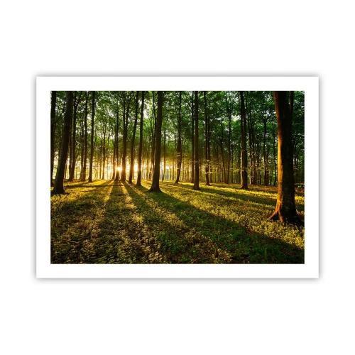 Poster - Alle Frühlingsfotografie - 70x50 cm