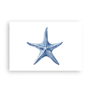 Poster - Stern des Meeres - 91x61 cm