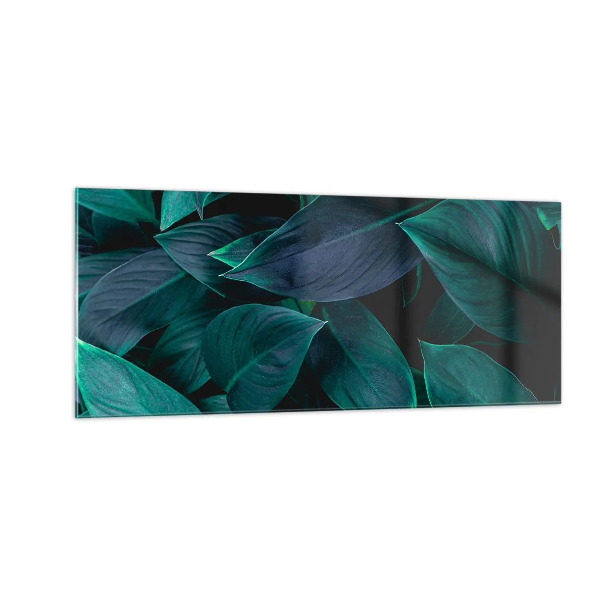 Glasbild - Bild auf glas - Grün in sich selbst - 100x40 cm