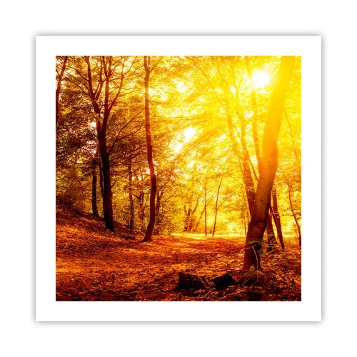 Poster - Auf die goldene Lichtung - 50x50 cm