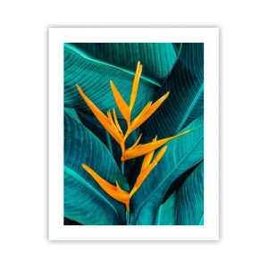 Poster - Eden-Blume - 40x50 cm