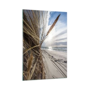 Glasbild - Bild auf glas - Goldenes Gras vor der Kulisse eines Sandstrandes und des Meeres - 50x70cm - Ein Treffen der Elemente der Natur - Moderne Wanddekoration für Wohnzimmer und Schlafzimmer ARTTOR