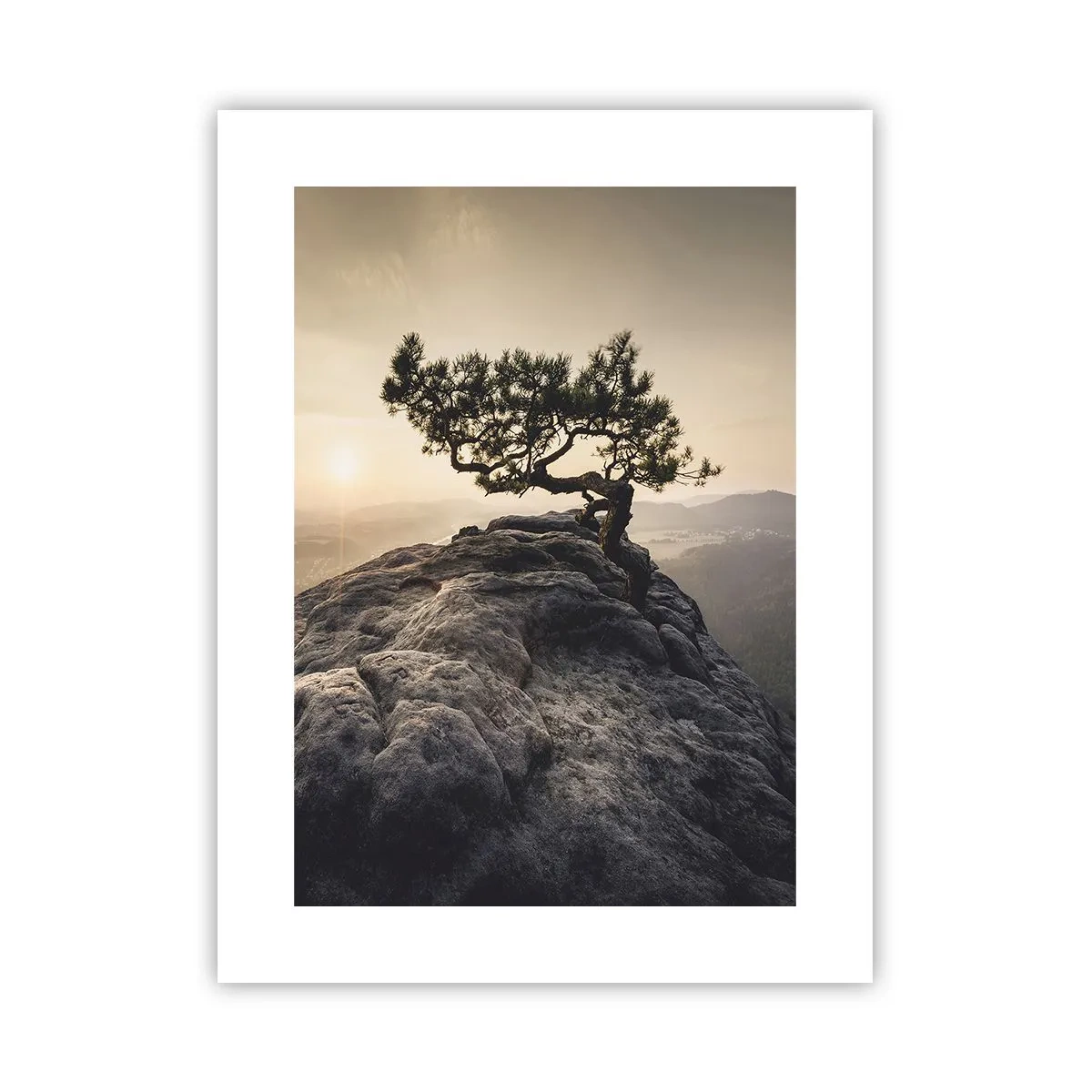 Poster - Das Leben gewinnt immer - 30x40 cm
