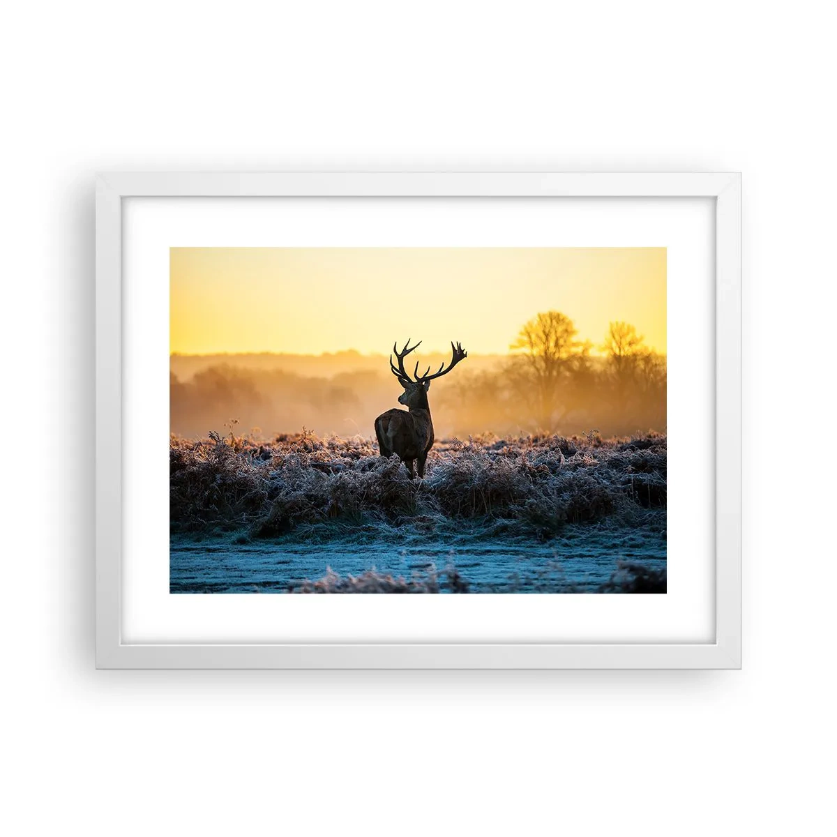 Poster in einem weißen Rahmen - Gekrönt auf seinem Besitz - 40x30 cm