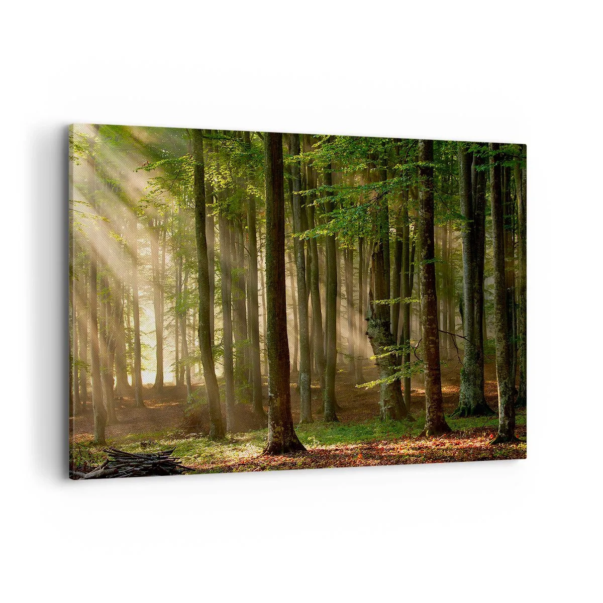 Bild auf Leinwand - Leinwandbild - Sonnenstrahlen dringen durch die Bäume im Wald - 100x70cm - Strahlend an einem Frühlingsmorgen - Moderne Wanddekoration für Wohnzimmer und Schlafzimmer ARTTOR