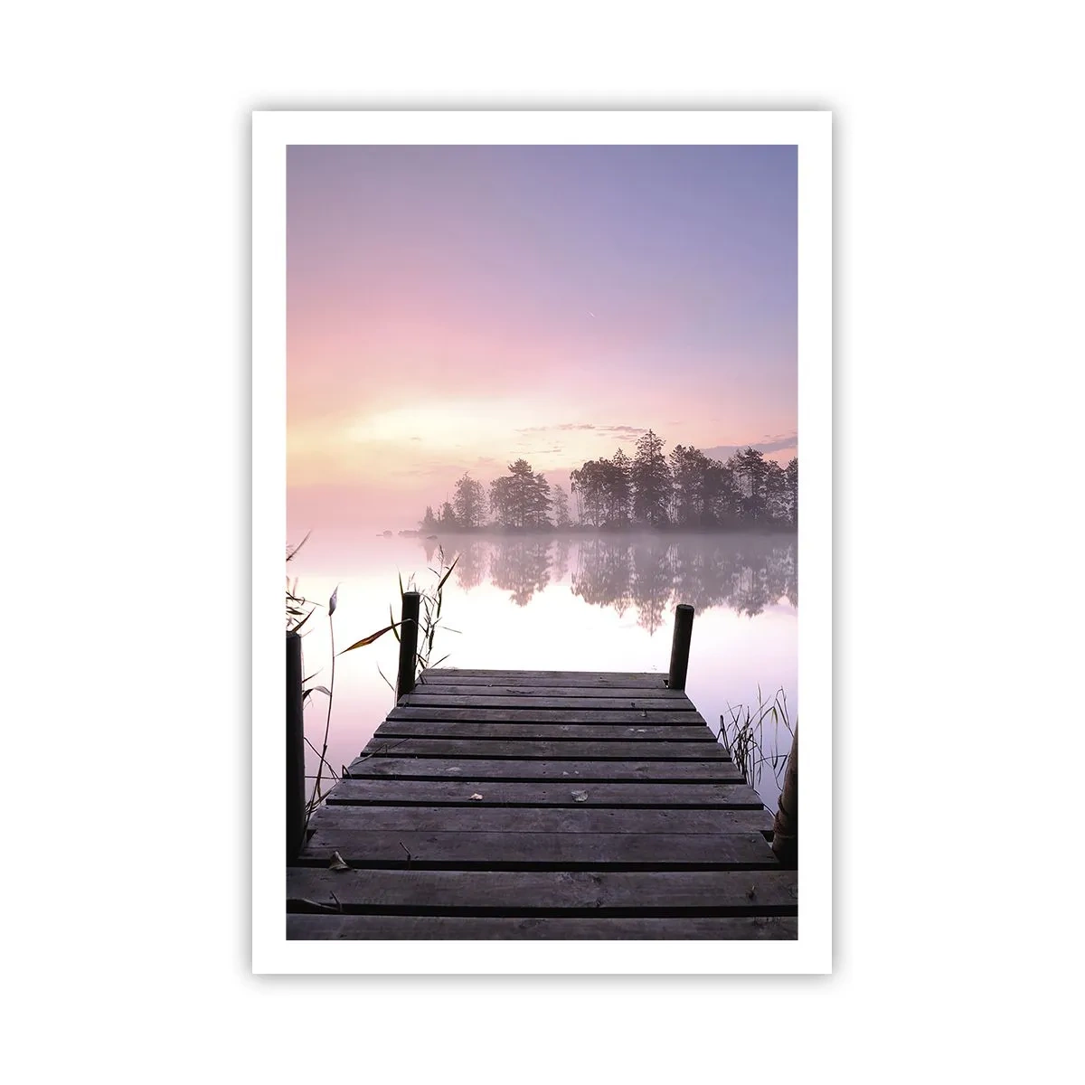 Poster - Aus dem lila Nebel ... - 61x91 cm