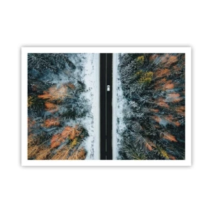 Poster - Eine Straße durch einen Winterwald aus der Vogelperspektive gesehen - 100x70cm - Schnitt durch den Winterwald - Moderne Wanddekoration für Wohnzimmer und Schlafzimmer ARTTOR
