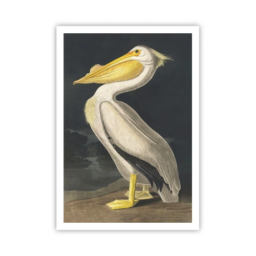 Poster - Voller Stolz - 70x100 cm
