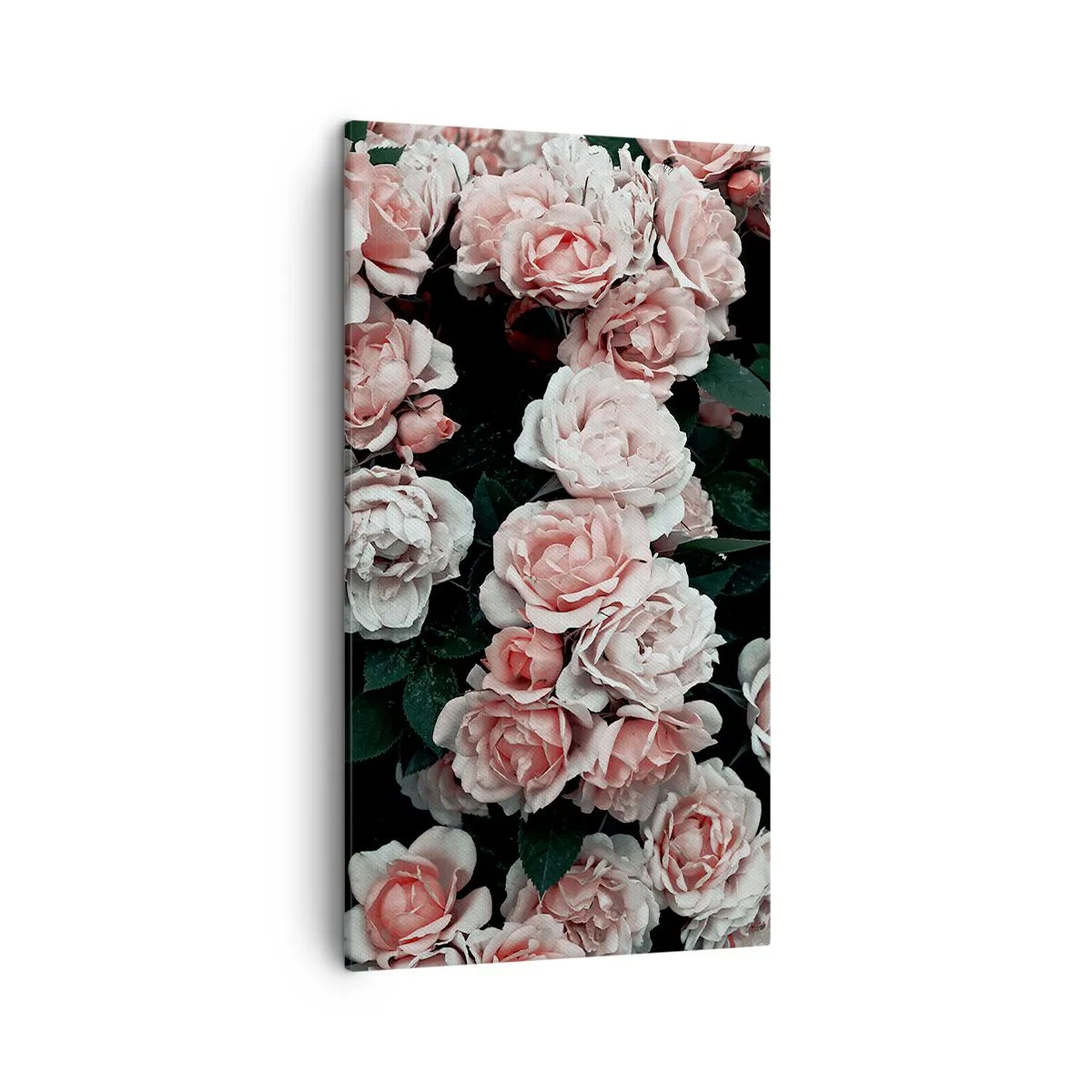 Bild auf Leinwand - Leinwandbild - Rosen-Ensemble - 45x80 cm