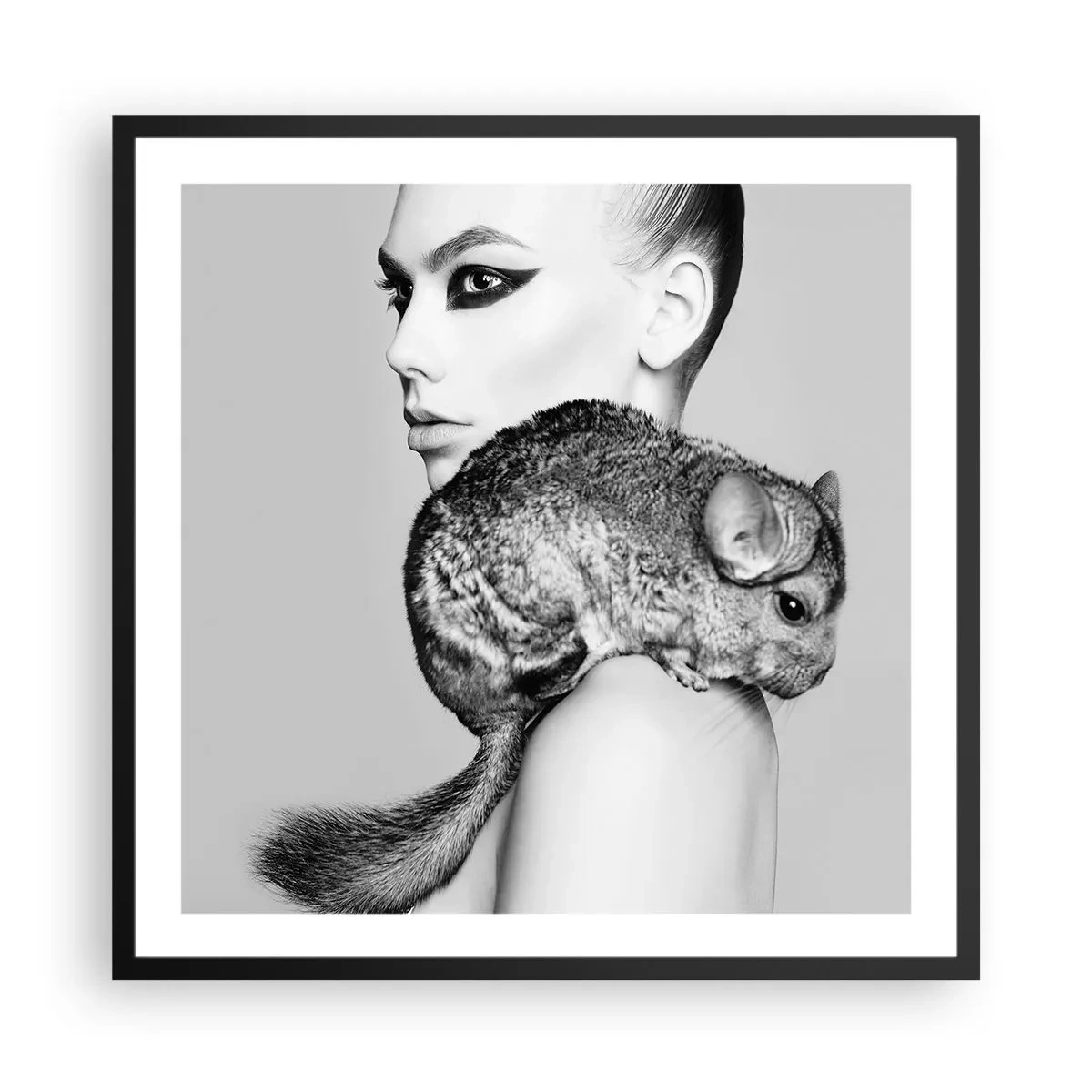 Poster in einem schwarzem Rahmen - Dame mit einem Chinchilla - 60x60 cm