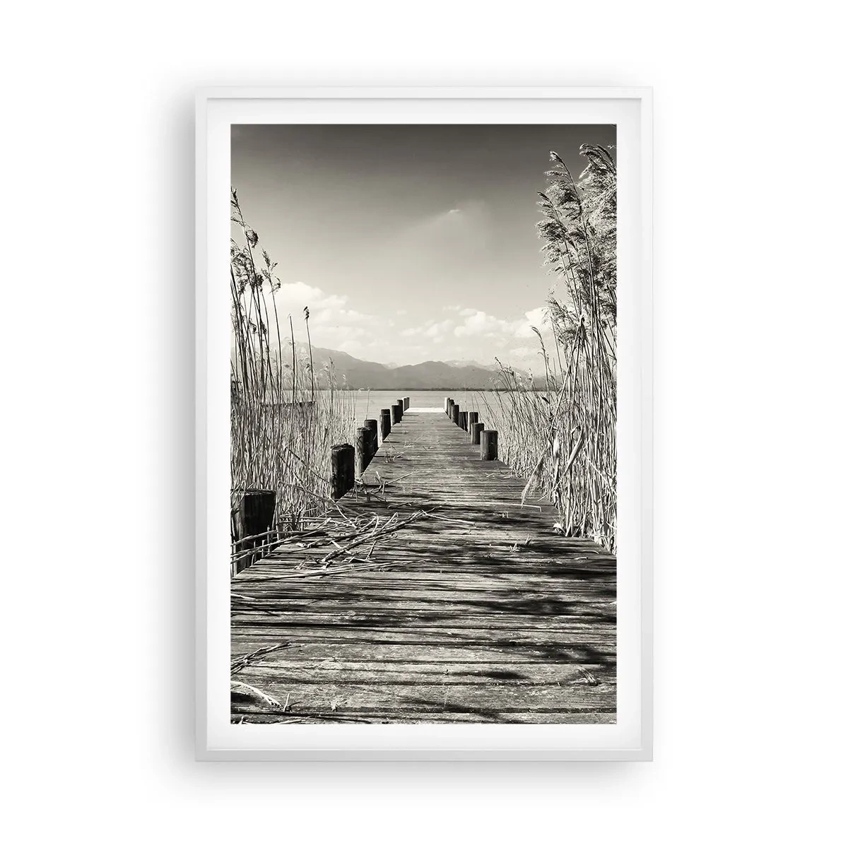 Poster in einem weißen Rahmen - In der Stille des Grases - 61x91 cm