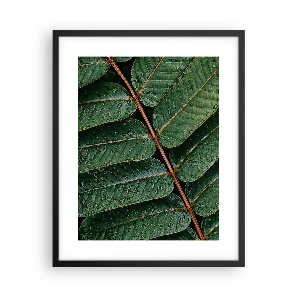 Poster in einem schwarzem Rahmen - Im grünen Rhythmus - 40x50 cm