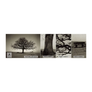 Fototapeten Muster Premium Sand - Von hier zu Ewigkeit - Landschaft, Baum, Natur - 100x30 cm