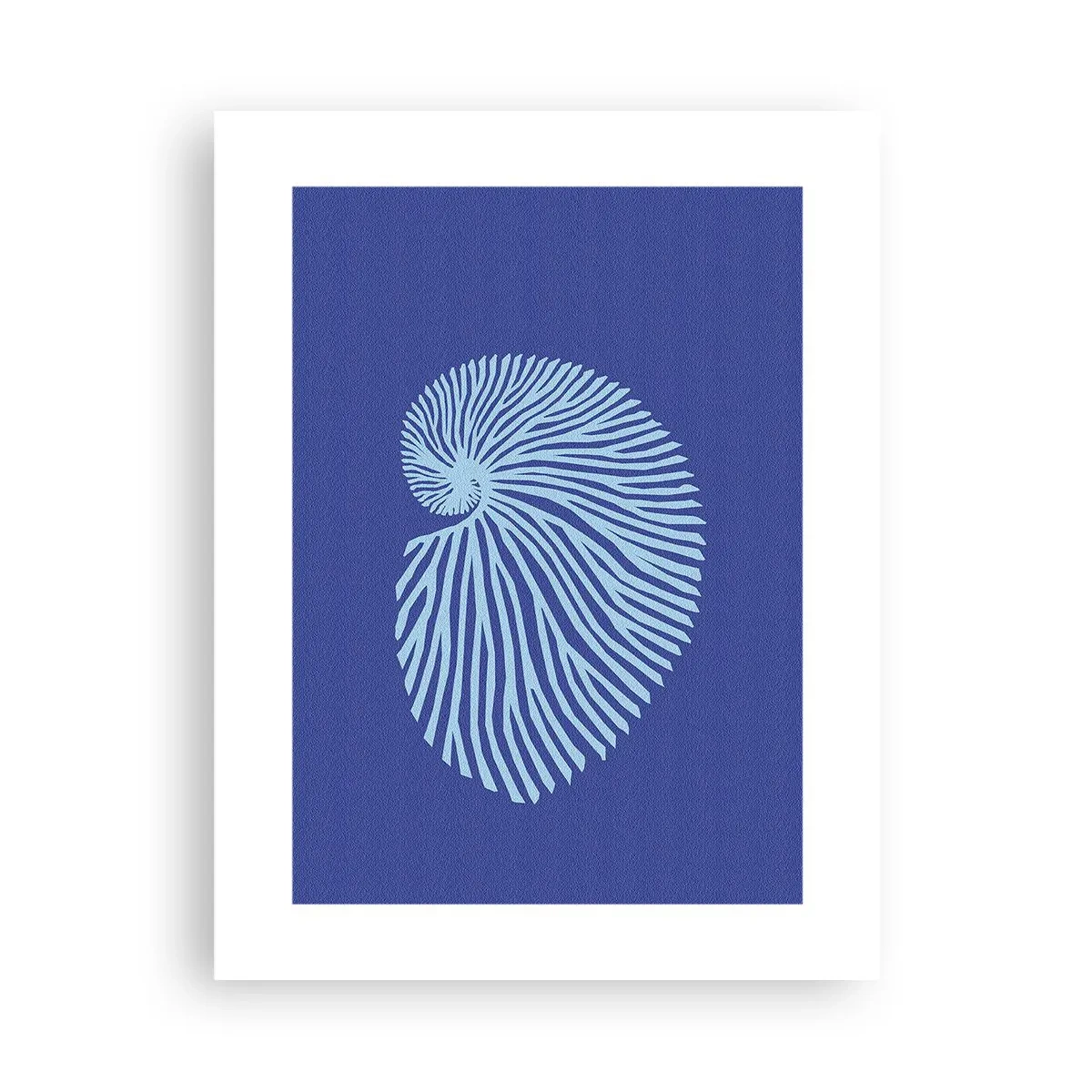 Poster - Geburt der Muschel - 30x40 cm