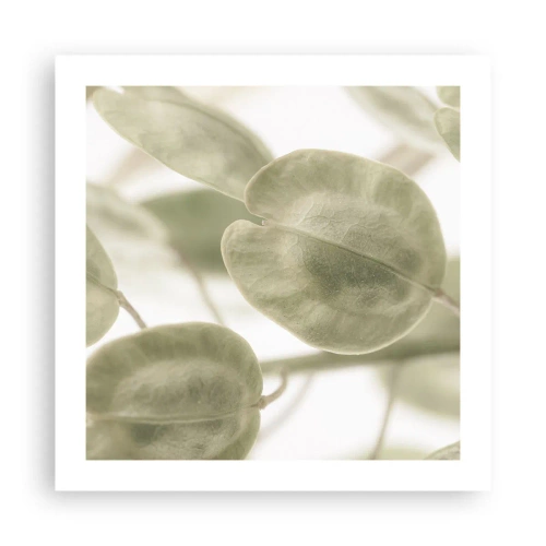 Poster - Am Anfang waren Blätter... - 50x50 cm