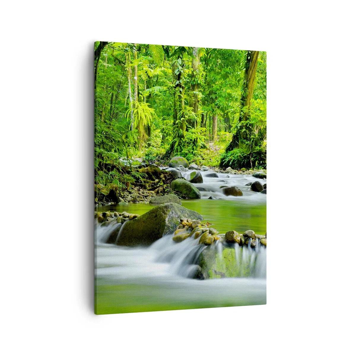 Bild auf Leinwand - Leinwandbild - Ein Bach in einem üppigen tropischen Wald - 50x70cm - Schwimmen Sie in einem Meer aus Grün - Moderne Wanddekoration für Wohnzimmer und Schlafzimmer ARTTOR
