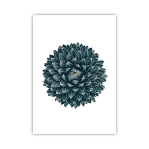 Poster - Stern der Wüste - 70x100 cm