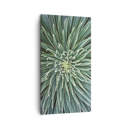 Bild auf Leinwand - Leinwandbild - Ein Star ist geboren - 45x80 cm