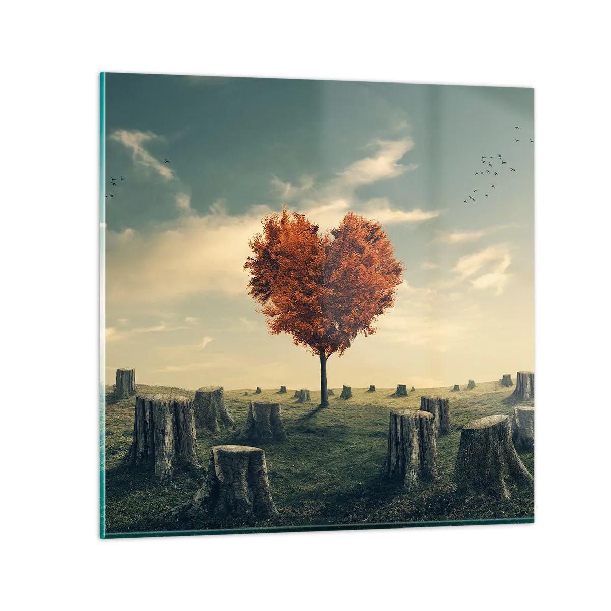 Glasbild - Bild auf glas - Es gibt noch Hoffnung - 40x40 cm