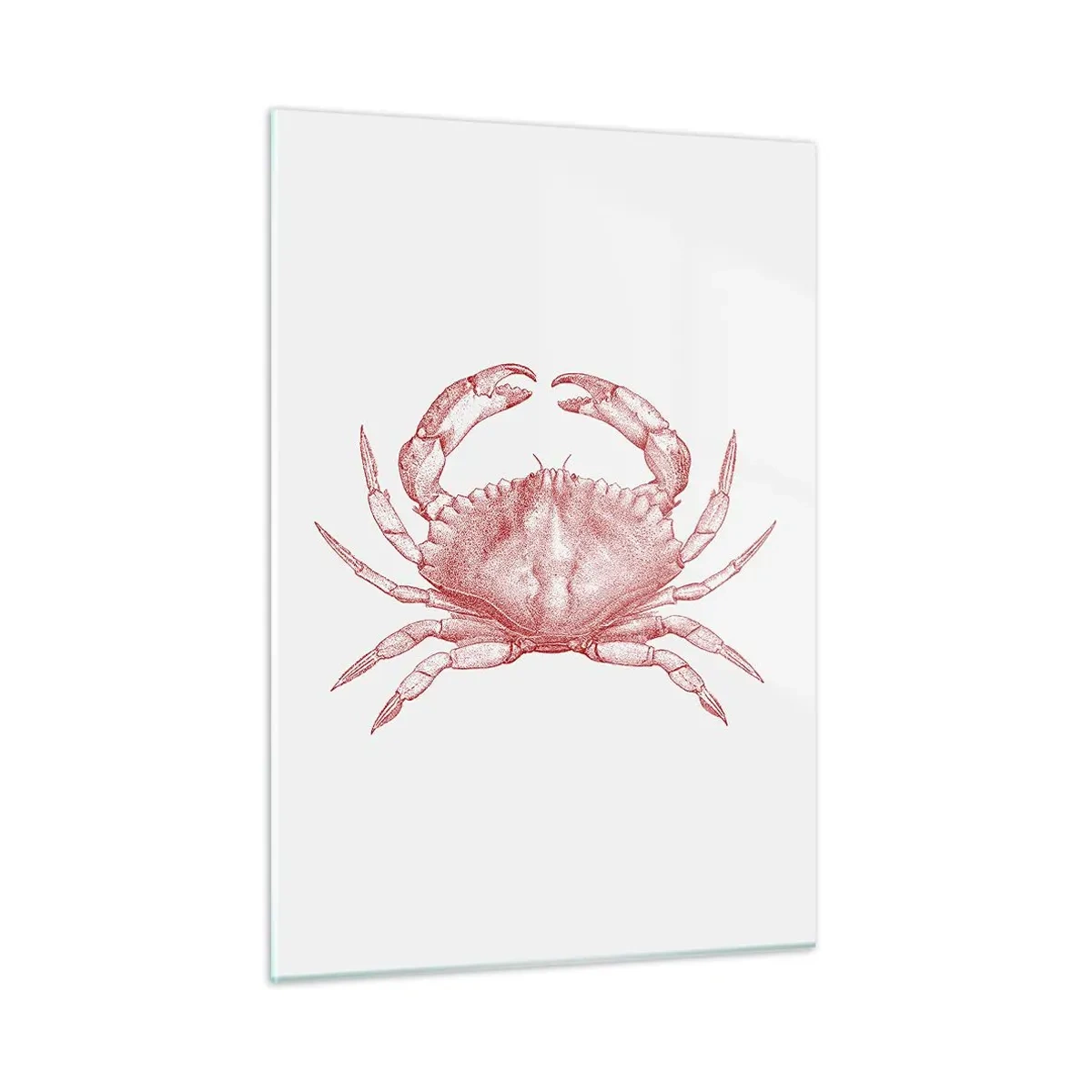 Glasbild - Bild auf glas - Skizze einer roten Krabbe auf hellem Hintergrund im Retro-Stil - 50x70cm - Krabbe aller Krabben - Moderne Wanddekoration für Wohnzimmer und Schlafzimmer ARTTOR