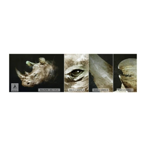 Fototapetenmuster Standard Eco - Eine wahrhaft männliche Stärke - Abstraktion, Nashorn, Tiere - 100x30 cm