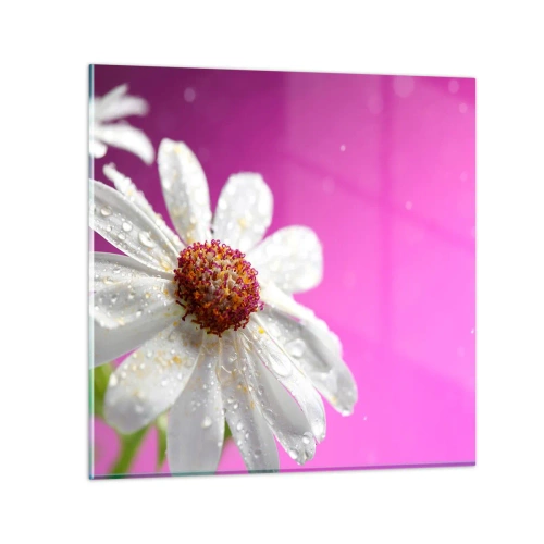 Glasbild - Bild auf glas - Bescheiden in seiner Schönheit - 30x30 cm