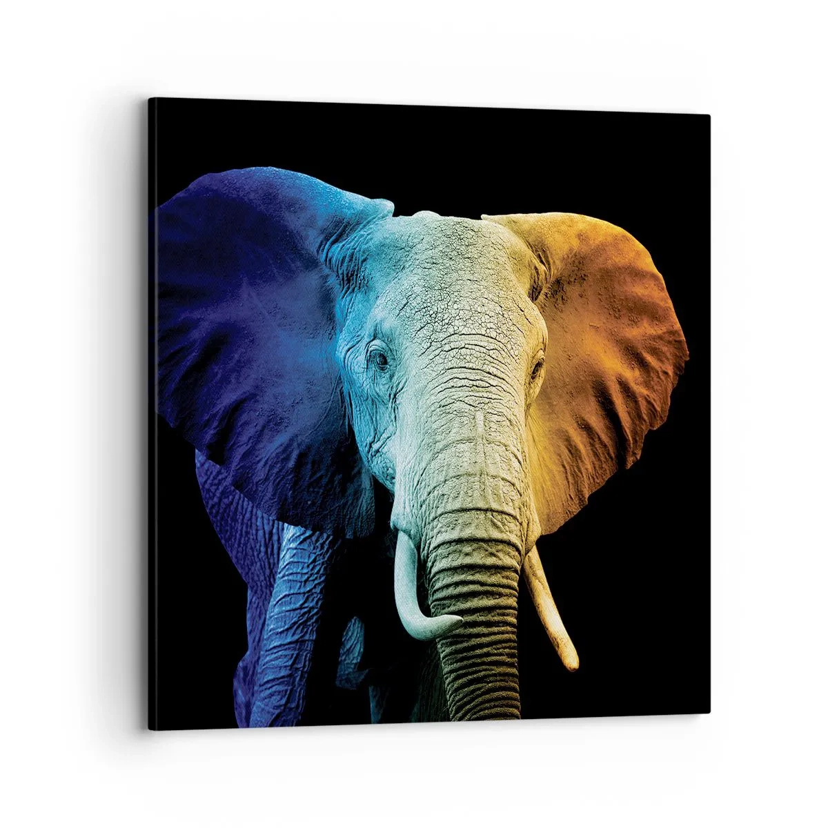 Bild auf Leinwand - Leinwandbild - Exzentrisch, kein Verrückter - 70x70 cm