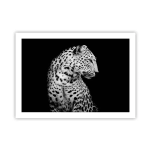 Poster - Rechtes Profil perfekt! - 70x50 cm