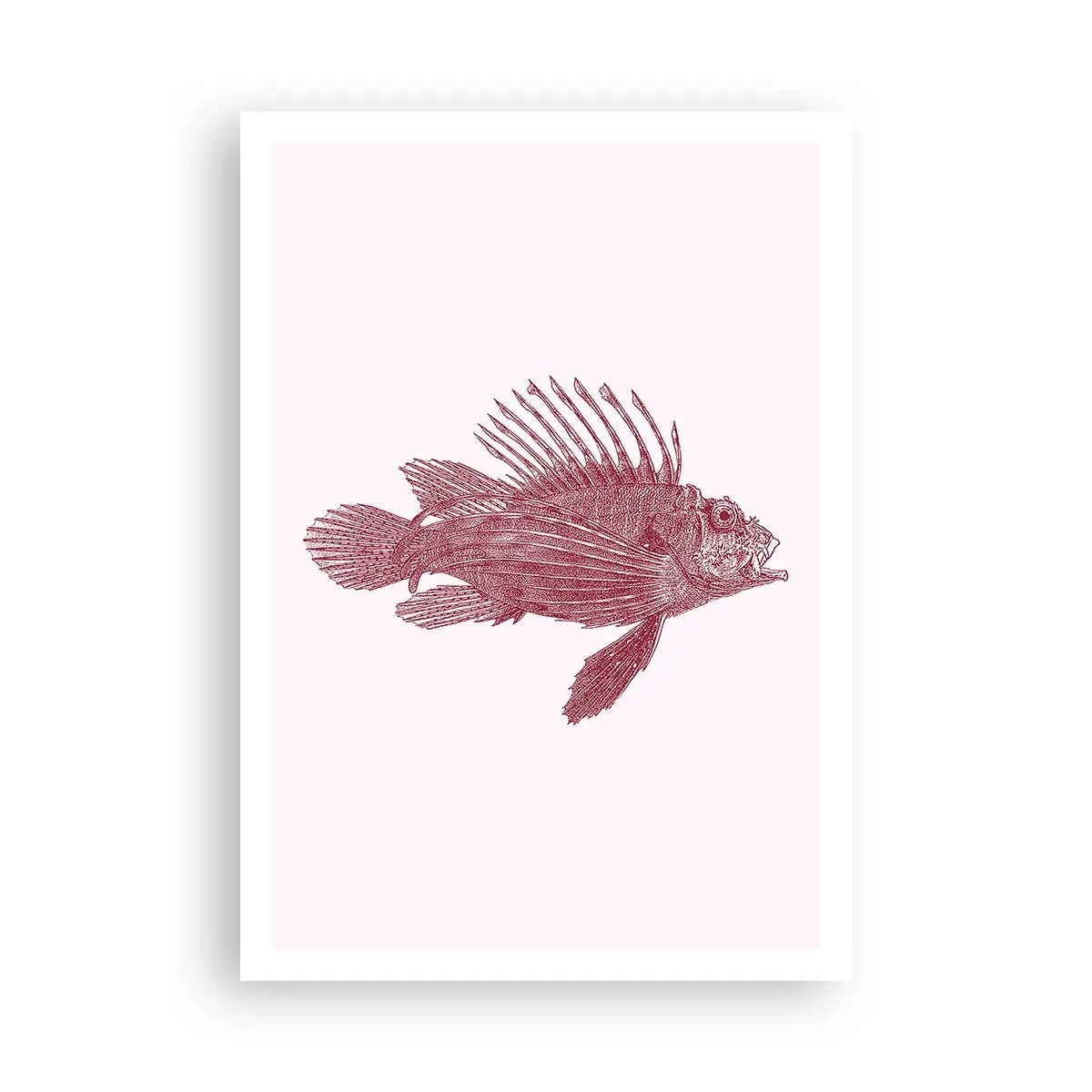 Poster - Bewohner exotischer Gewässer - 70x100 cm