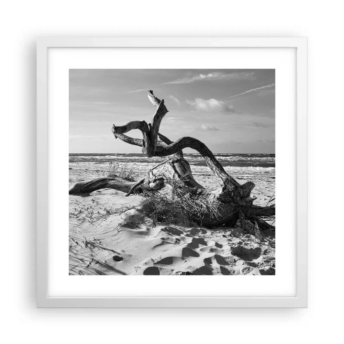 Poster in einem weißen Rahmen - Meeresskulptur - 40x40 cm