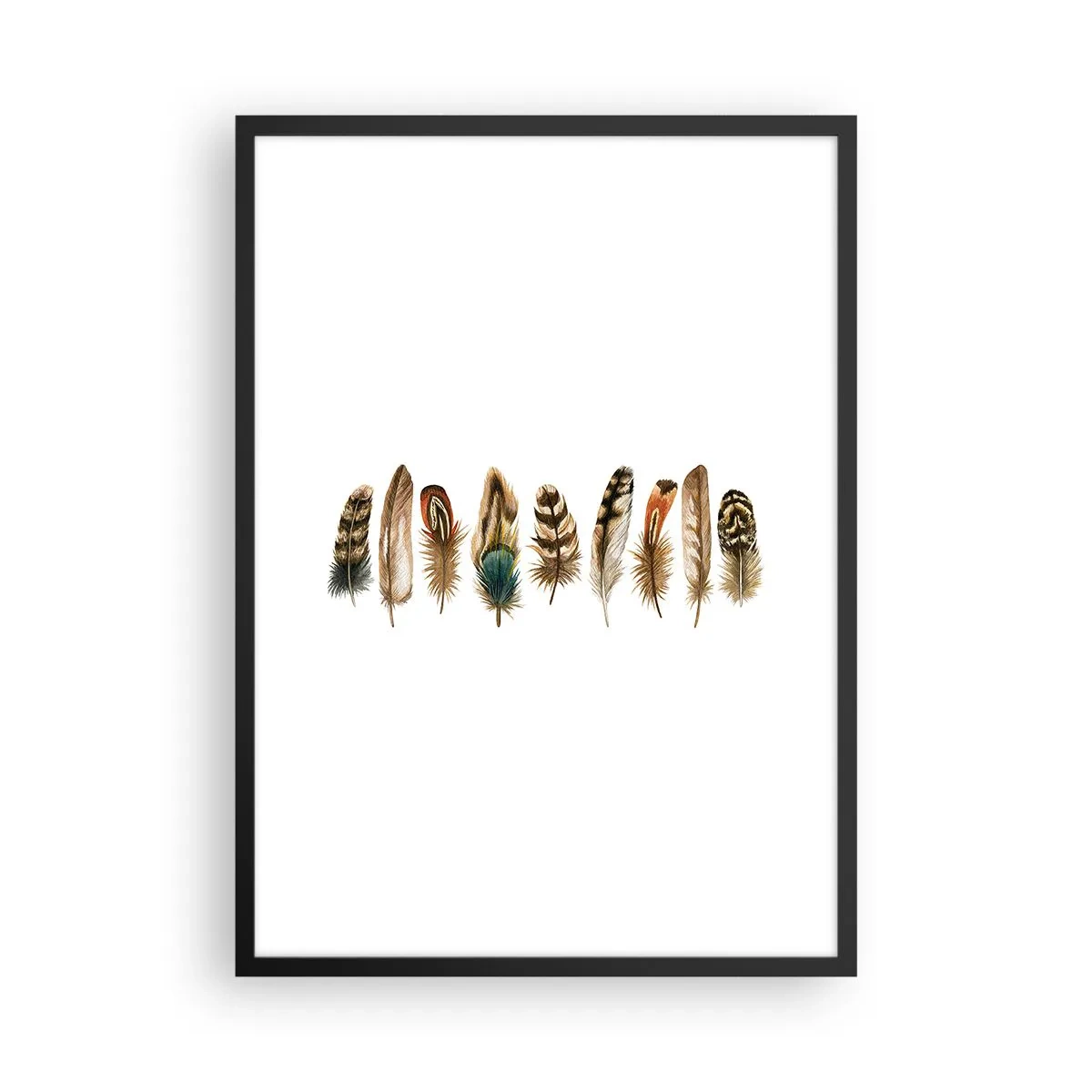 Poster in einem schwarzem Rahmen - Bunte Federn in einer Reihe - 50x70cm - Eine federleichte Variante - Moderne Wanddekoration für Wohnzimmer und Schlafzimmer ARTTOR
